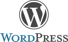 dusus WordPress website development for scalable and SEO-friendly business websites